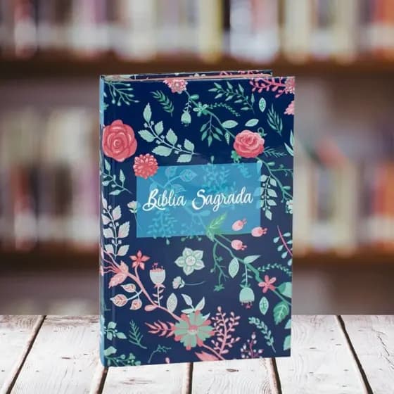 Bíblia Sagrada| NAA | Capa Dura | Queima de Estoque