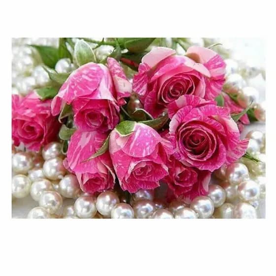 kit pintura diamante 5d diy