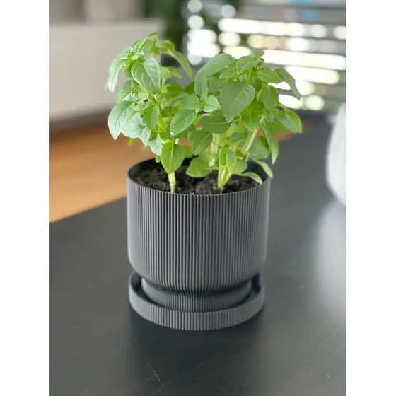 Vaso de flor, cachepot, Vaso decorativo com bandeja
