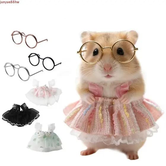 JUNYUE Vestido De Princesa Hamster , Adorável Saia Respirável Para Animais De Estimação , Conjunto De Óculos Leves E Mac
