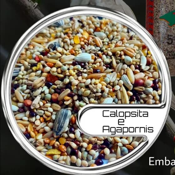 Alimento para Pássaro Calopsita e Agapornis 5kg