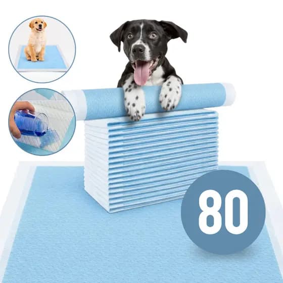 Tapete Higiênico Para Cães Fraldas Descartável Pet 60x60 20/40/60/80un