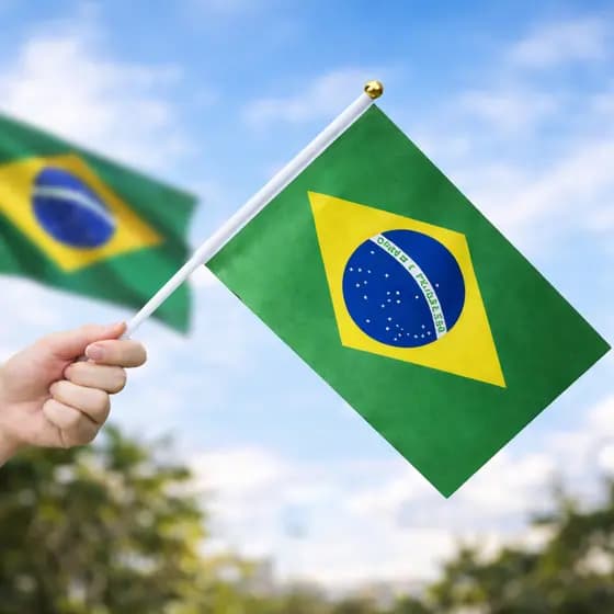 Kit Bandeirinhas do Brasil 14x21cm | Decoração Festa Tema Brasil – Kit 5, 10, 15 ou 24 Unidades