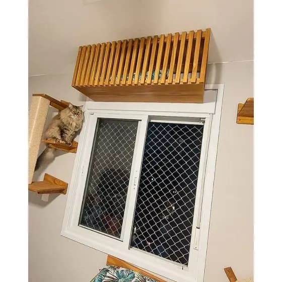 Cama de 🐱 🐱 gatos.