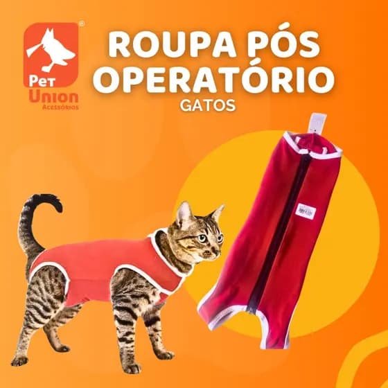 Roupa Pós Cirúrgica de Castração Para Gatos Machos E Fêmeas