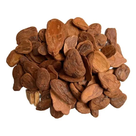 Casca de Pinus Polida 600g