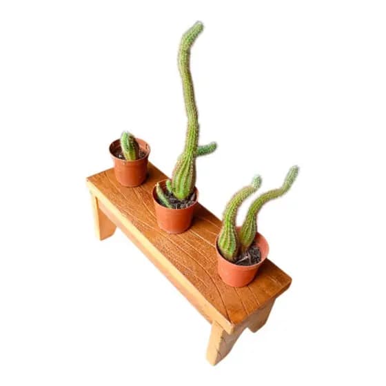 BANQUINHO PARA DECORAÇÃO - VASO FLOR