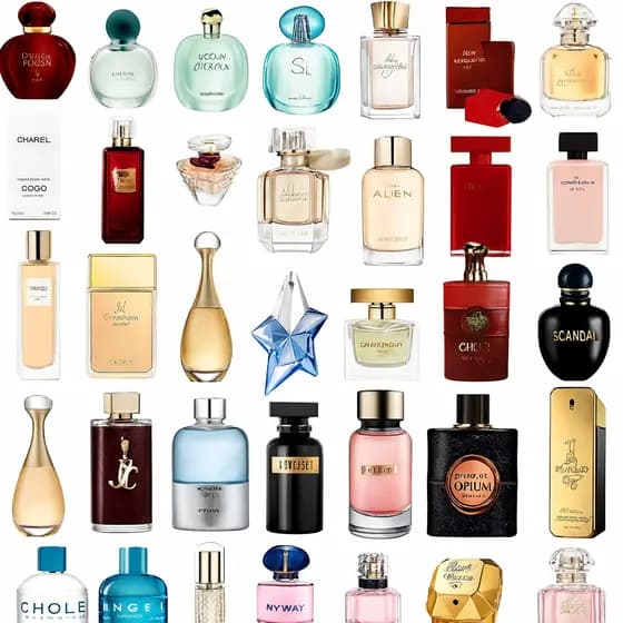 Perfumes Brand Collection Fragrâncias Masculinas e Femininas 25ml Travel Size Perfume de Bolsa Presente ideal
