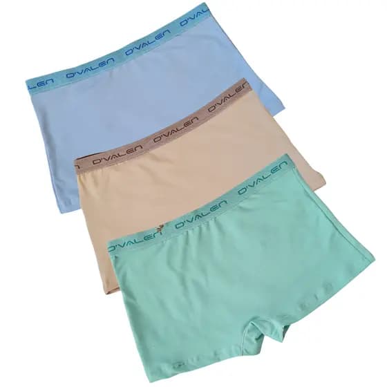Kit 3 Calcinha Boxer Plus Size Box Feminina Dvalen Modas Calcinha Shortinho Cueca Feminina XG G1 G2 G3