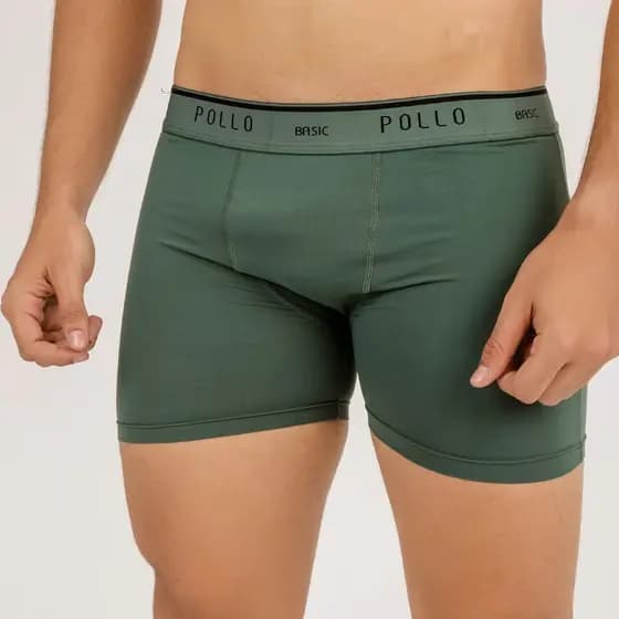 Kit 2 Cueca Boxer Box Pollo Adulto Poliamida Conforto Qualidade