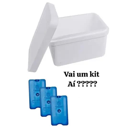 Kit , caixa térmica com gelo !!