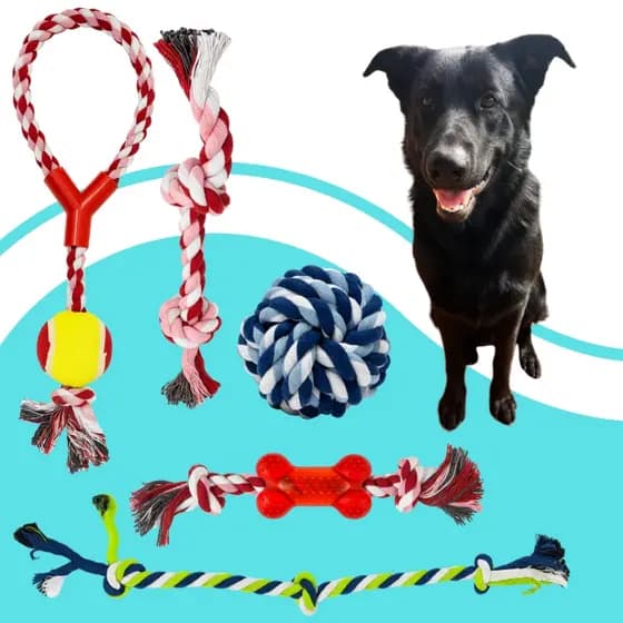 Kit 5 Brinquedos Cachorro Mordedor Corda Antiestresse Super Resistente Interativo