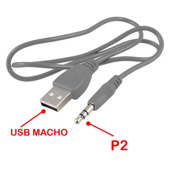 CABO P2 MACHO x USB MACHO - 1,70 METROS