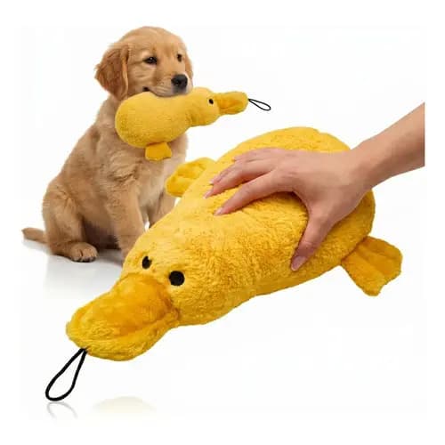 Pato De Pelúcia Brinquedo Para Cachorro Filhote Adulto Macio Mordedor Com Apito Som Interativo