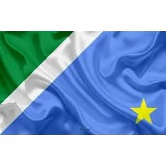 Bandeira de Tecido Mato Grosso do Sul