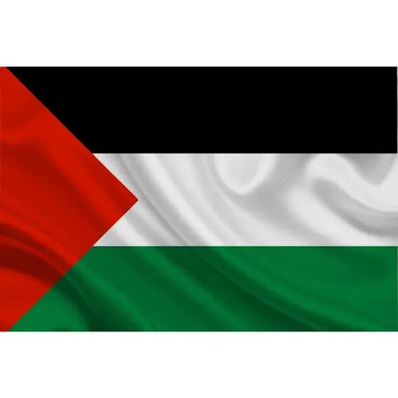Bandeira de Tecido Palestina