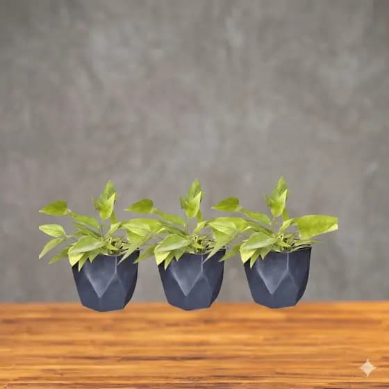 Kit 3 Vasos de Plantas Cachepô Facetado Nº4 Injetado Decorativo casa jardim