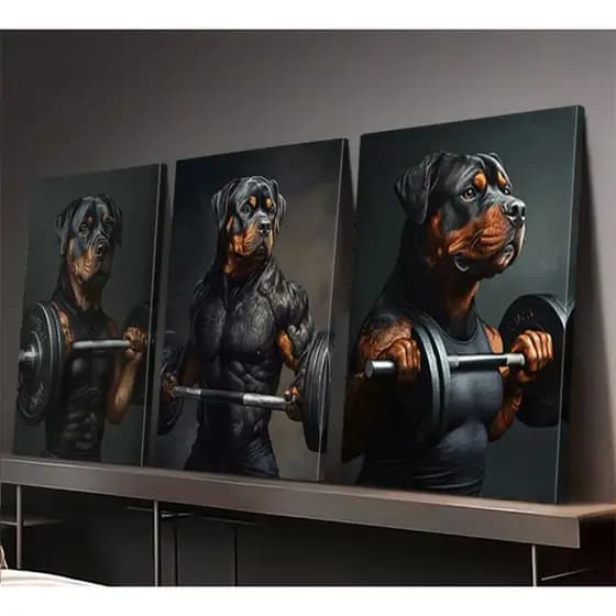 KIT 3 QUADROS DECORATIVOS MODERNOS ELEGANTES EXCLUSIVOS CACHORRO BOMBADO FORTE ACADEMIA 3 PEÇAS MDF
