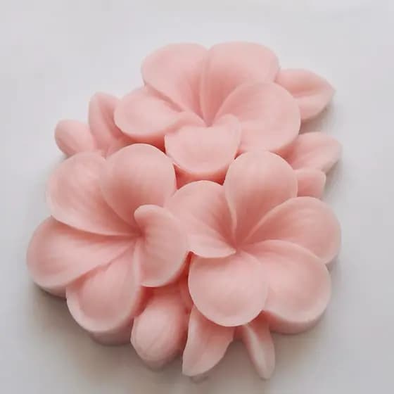 Kit com 10 Sabonete Flor de Jasmim