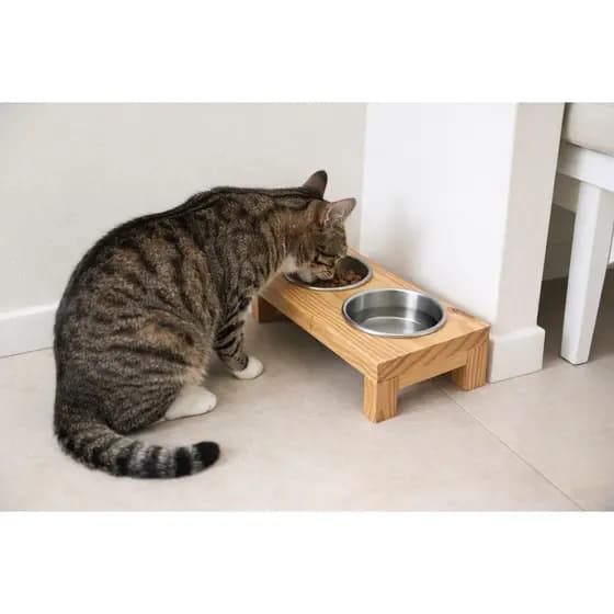Comedouro Elevado Premium Pet Confort em Madeira Pinus conjunto kit duplo