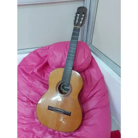 VIOLAO GIANINE