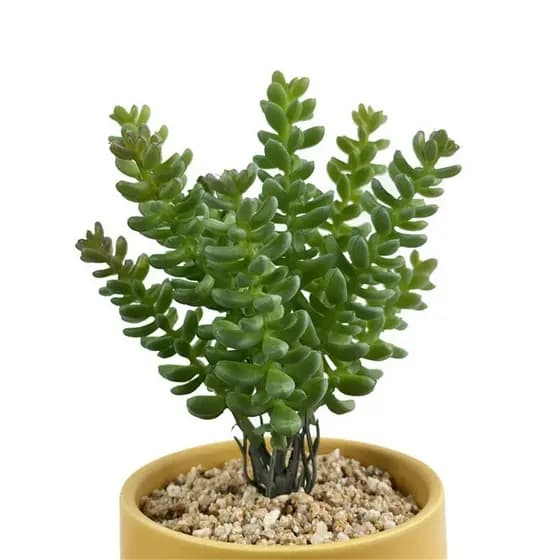 Suculenta avulsa artificial decoração-LMM802254