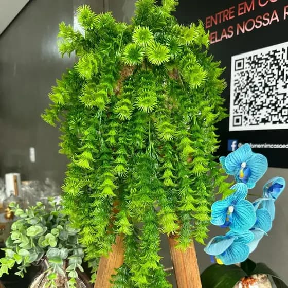 Planta Pendurada Verde Artificial Parede Folhagem Para Decora- SD801606
