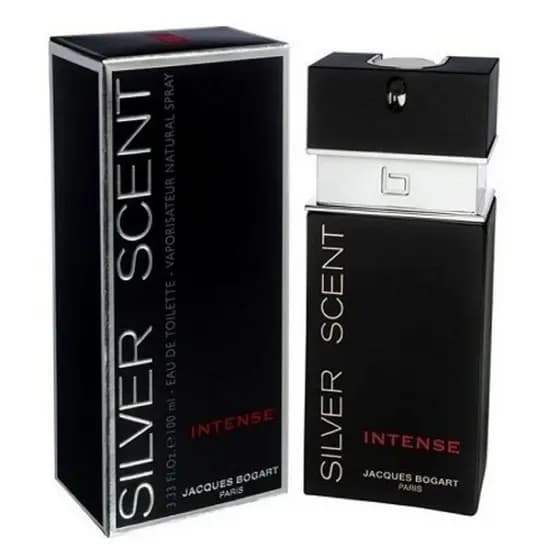 Perfume Silver Scent Masculino 50 ml Fragrância Concentrada