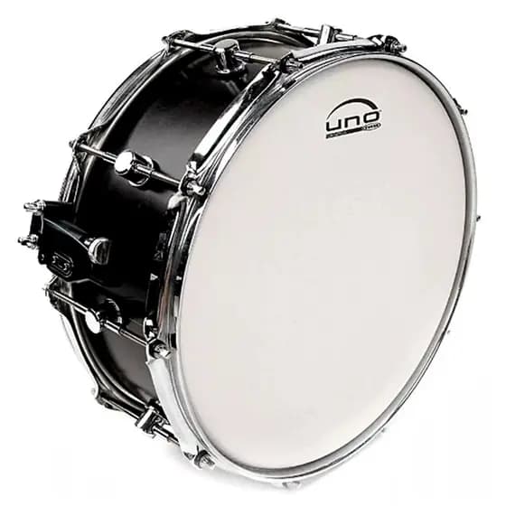 Pele Uno by Evans 14 pol Caixa Bateria Ataque Genera Porosa Groove Profissional