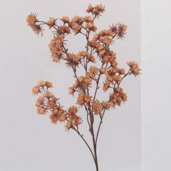 Haste Brinco de Princesa 75CM Flores e Plantas Artificiais Decorativas - CR6752