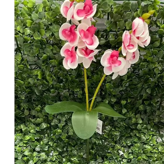 Orquídea C/ folha artificial