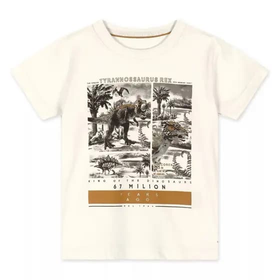 Camiseta Infantil Dinossauros (Tamanho 6) Branca MARISOL