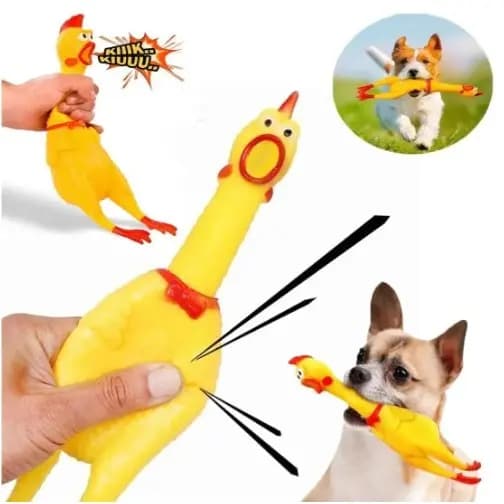 Galinhas Frango Galo Borracha Mordedor Cachorro Pet Grande C/ Barulho Som Brinquedos Bichinho