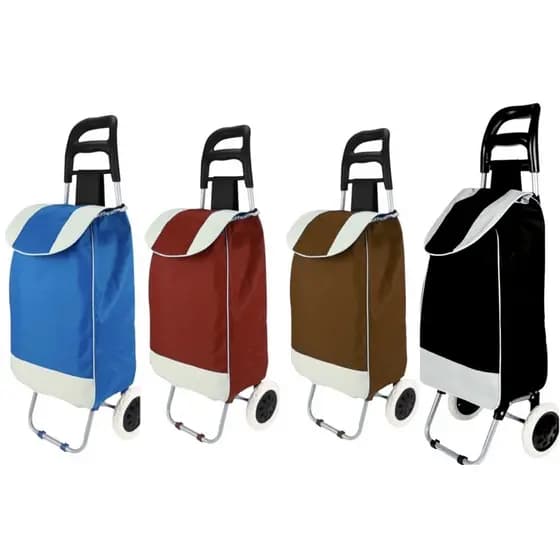 Carrinho De Compras 2 Rodas Leva Tudo Bag Feira Supermercado 30kg