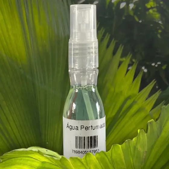 Aromatizador De Carro Bella Luna Spray 30ml Alta Fixação Home