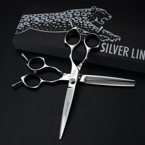 Tesoura De Barbeiro Corte De Cabelo Estilo Cauda Dupla Prateada De 6.5 Polegadas