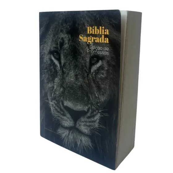 Biblia Sagrada de Bolso Para Doacao Ou Evangelizacao Pequena