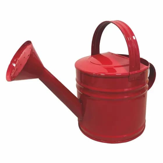 Regador para Jardim Plantas Horta Decorações Metal 3L