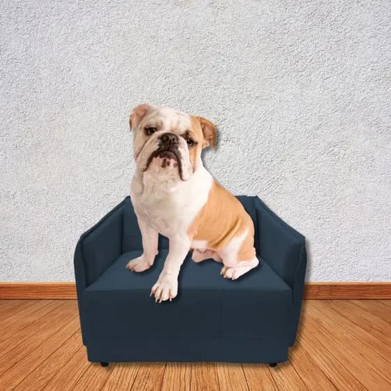Caminha para Cachorro e Gato Retrátil Suede Azul Marinho Siloe Decor