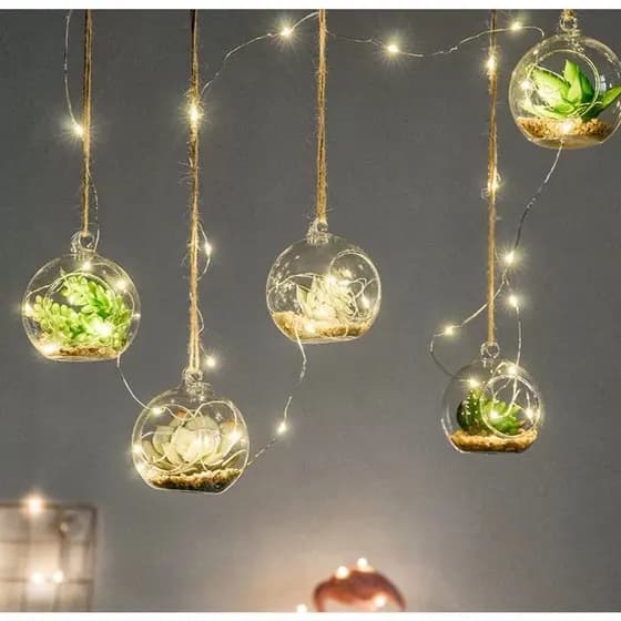 Bola Em Acrílico Para Terrário Suculenta E Pendurar