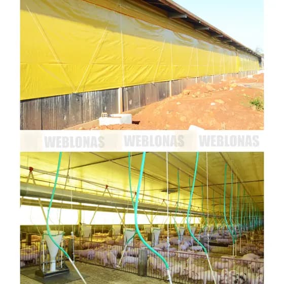 Lona Aviário 2,5x15 Para Climatização de Galpões 15x2,5 - Canhão Inferior E Superior