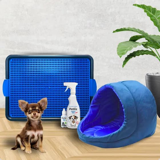Kit para Cachorro Cama Caminha Iglu P + Banheiro Lavável + Educador Sanitário Xixi Sim e Não Petliz