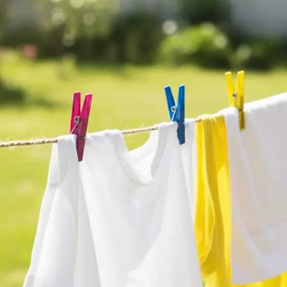 Kit 24 peças Prendedores de Roupas Plásico Multicores - Aguia Branca