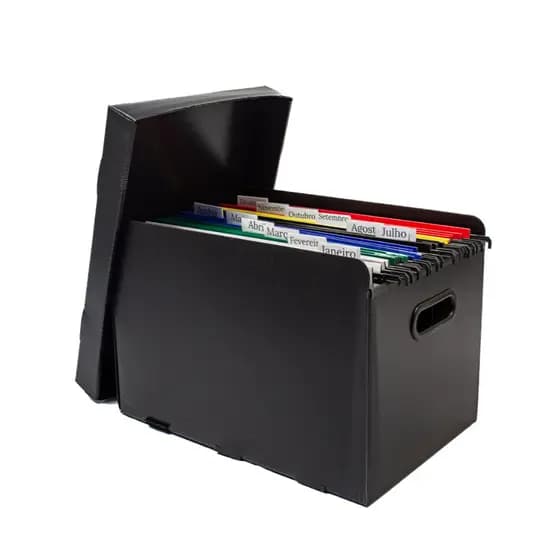 Kit Caixa organizadora para arquivar arquivos e documentos + 10 pastas suspensas Padrão A4