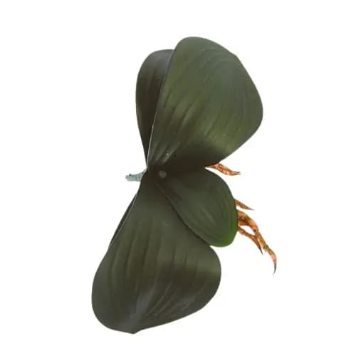 Folha de Orquídea com 5 Folhas - Flor Artificial