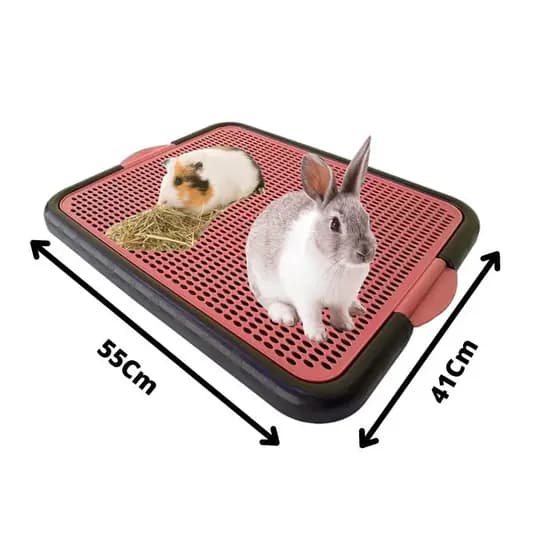 Tapete Higiênico Porquinho da Índia Coelho Lavável Promoção Envio Imediato
