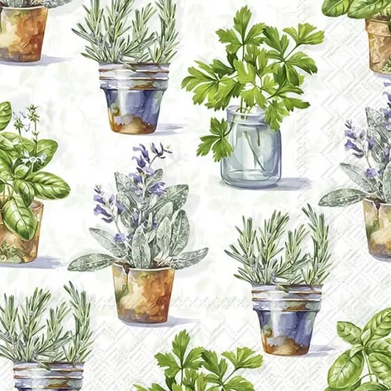 Guardanapo para Decoupage Ihr 33x33 Ervas Aromaticas C/ 20 Unidade