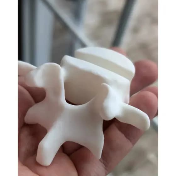 PORTA CARTÃO DE VISITA VÉRTEBRA 3D COLECIONÁVEL