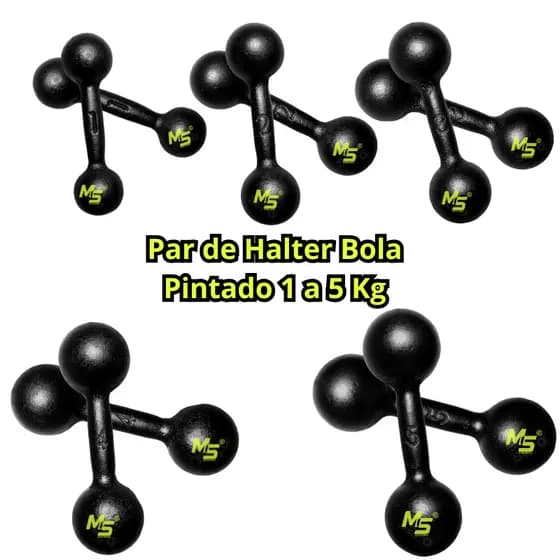 Par Halter Bola Pintado Premium - 1 a 5 Kg / Treino Musculação Peso de Academia C/ 2 Un