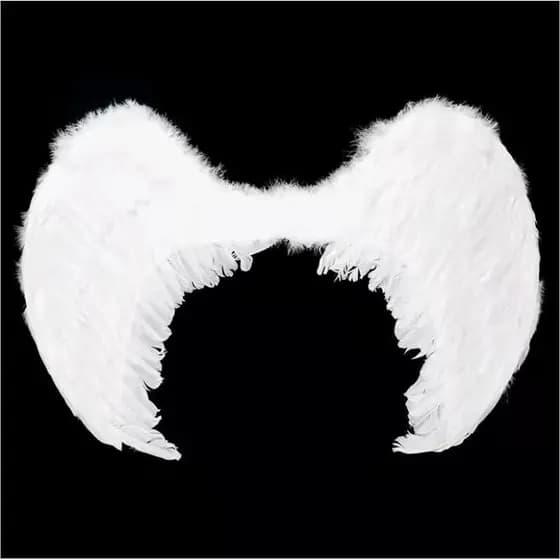 Asa de Anjo Branco \ Preto Para Carnaval Festa Fantasia - 3 Tamanhos